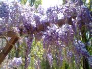 Top Saint-Étienne-de-Boulogne