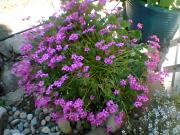 Top Saint-Étienne-de-Boulogne