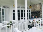 Hill Tips Tea Bangalow