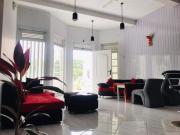 Hill Tips Tea Bangalow