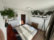 Jungle style 2 lockable bedrooms, 10 mins to center, top floor balcony with Prague view, king-size bed, high speed Internet, coffee