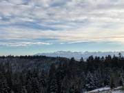 Apartament Zielone Wzgórze Apartament Zielone Wzgórze