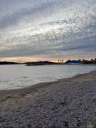Top Toulon
