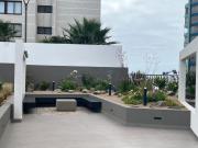 Top Iquique Top Iquique