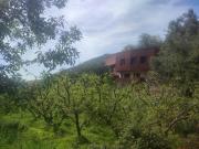 Chez Yahia, Au coeur de LOurika