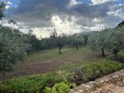 Top Scopello