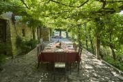 Top Assisi
