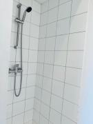 Top Roubaix Top Roubaix