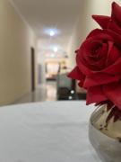 Para Famílias Cristãs - Sítio Confortável e lindo