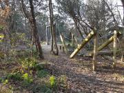 5 person holiday home in Hjørring