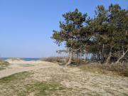 Top Hornbæk