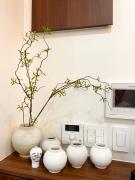 스테이 피올라 동대문