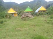 Maverick Camp, Rondavels and Homestay