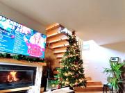 Winter holidays in Holiday home Olive garden Platinum Winter holidays in Holiday home Olive garden Platinum