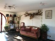 Le 115 Retour aux Sources