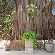 Top Santa Bárbara de Nexe Top Santa Bárbara de Nexe