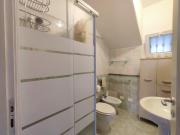 Scogghiu damuri Scogghiu damuri