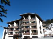 Appartement cosy, pied de piste, cheminée, animaux admis - FR-1-304-153