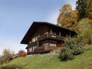 Top Wengen