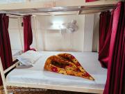 Bunk bed in haridwar