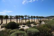 Top Bormes-les-Mimosas