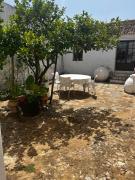 Top Aracena