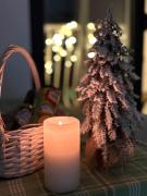 Уютная квартира рядом с центром Бургаса