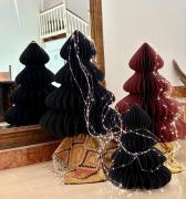 LAncora appartamenti 2