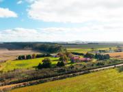 Top Tandil