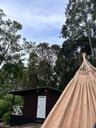 Top São Francisco de Paula