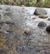 Apartamento confortable CRISANDRE