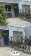 Top Penha