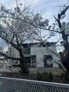 鎌倉江の島 腰越駅徒歩3分海まで5分 2025年新築貸切一戸建て