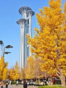 Top Beijing