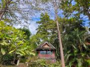 The Moon Rabbit Resort Pai