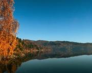 Top Żywiec Top Żywiec