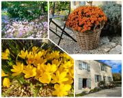 Top Castéra-Lectourois