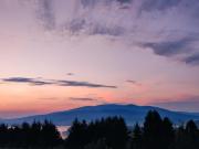 Top Żywiec Top Żywiec