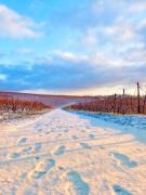 Top Rüdesheim am Rhein