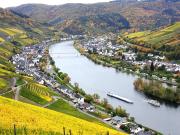 Top Zell an der Mosel