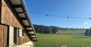 Tente Glamping dans les arbres de la Ferme du Bois de lhalle