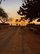 Top Playa Bello Horizonte