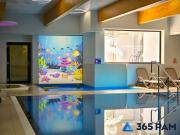 Top Sianożęty Top Sianożęty