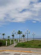 Flamingo Pé na areia - CentroGuaratuba