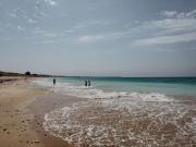 Top Le Bois-Plage-en-Ré