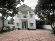 Top Ấp Hòa Bình (1)