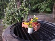 Las Brisas casas de campo un lugar para soñar