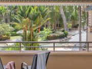 Top Palm Cove