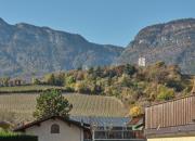 Top Appiano sulla Strada del Vino