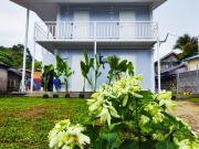 Top Teluk Bahang